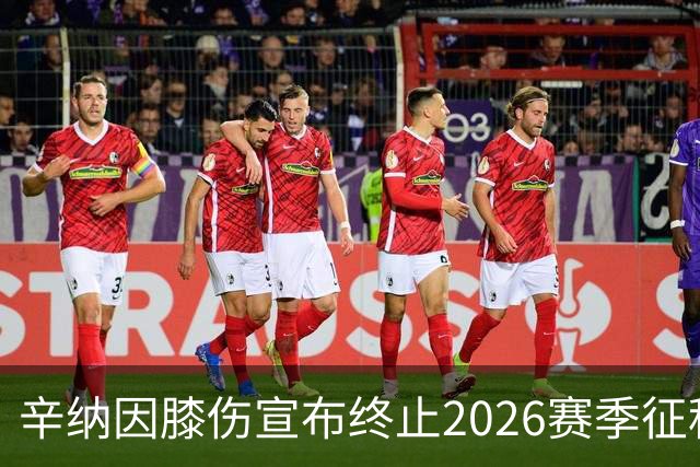 辛纳因膝伤宣布终止2026赛季征程